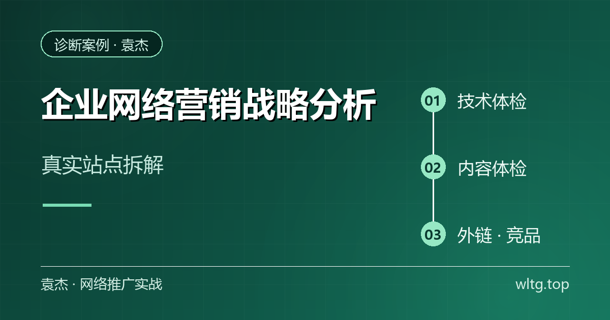 企业网络营销战略分析